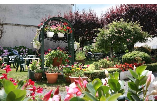 hsoleillevant(3)-min